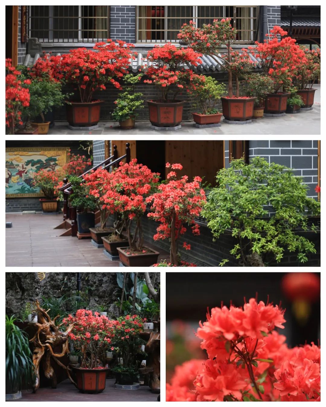 1744244999712123.jpg 1744244999712123.jpg